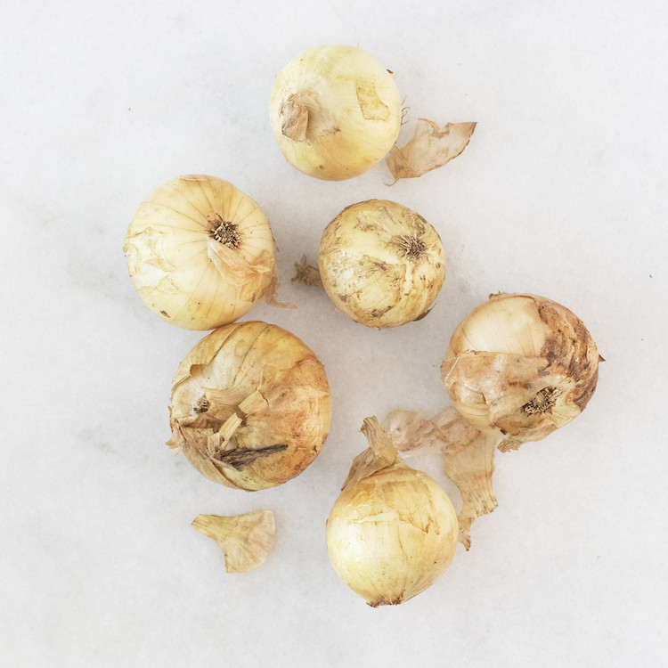 Picture of local sweet onions